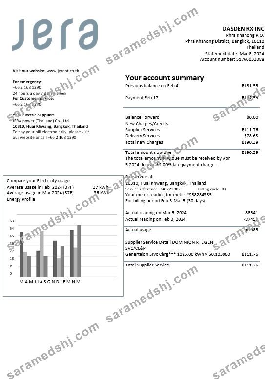 Thailand JERA power business utility bill template in Word and PDF formats